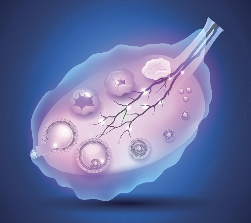 长沙雅湘医院做试管婴儿多少钱？每一代花销都不同